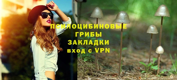 эйфоретик Кущёвская