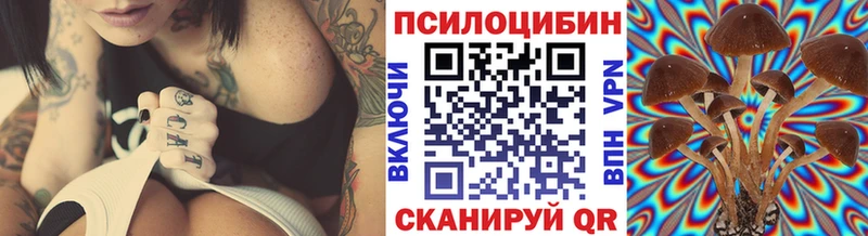 Псилоцибиновые грибы MAGIC MUSHROOMS  сколько стоит  Великие Луки 