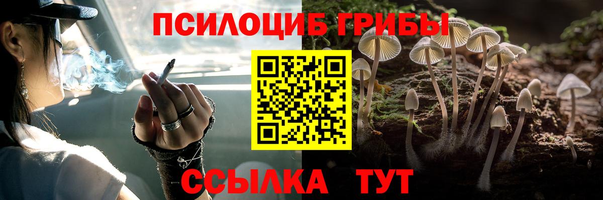 Великие Луки  Псилоцибиновые грибы GOLDEN TEACHER  Вход с VPN 