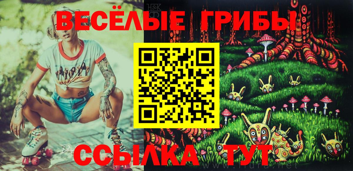 Псилоцибиновые грибы GOLDEN TEACHER Великие Луки