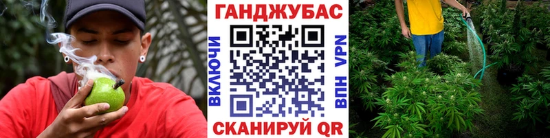 Бошки Шишки план  Великие Луки 